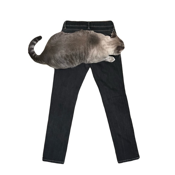 White House Black Market Denim - whbm low rise jean